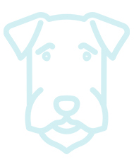 silhouette chien